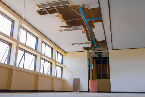Best Residential water damage restoration  in Contoocook, NH