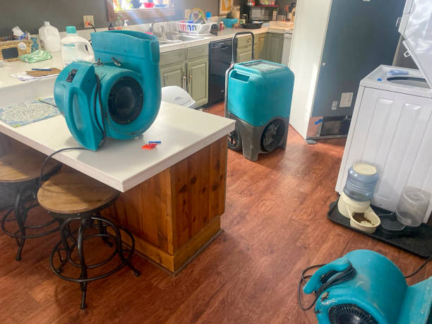 Best 24/7 water damage repair  in Contoocook, NH