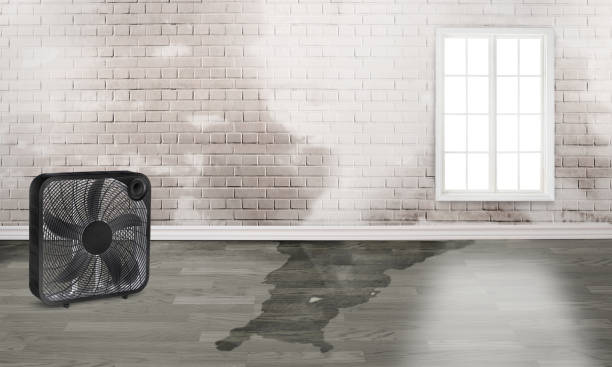 Carpet water damage restoration in Contoocook, NH