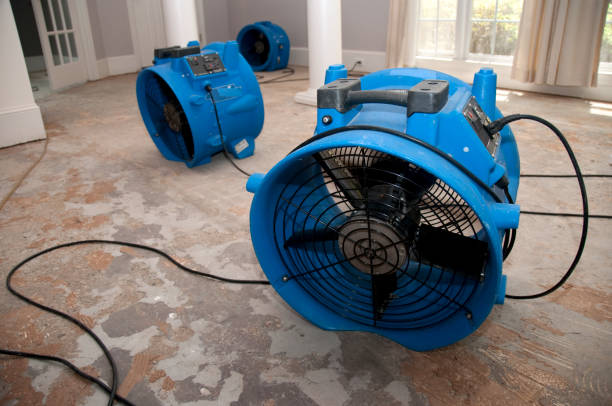 Best Water damage restoration near me  in Contoocook, NH