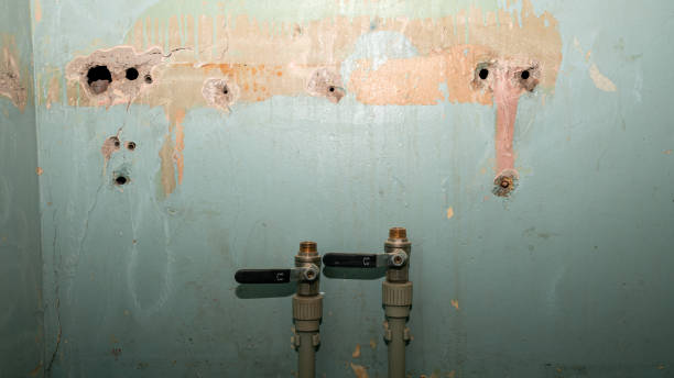 Best Emergency water damage restoration  in Contoocook, NH