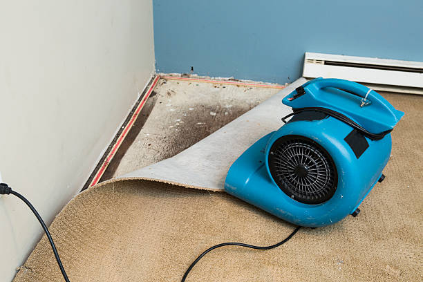 Best Water damage repair service  in Contoocook, NH