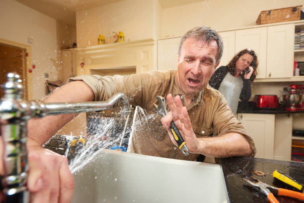 Best Mold removal after water damage  in Contoocook, NH